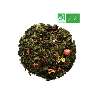 detox feu du dragon bio 1kg