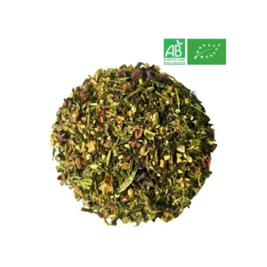 the vert et mate citron gingembre bio 1kg