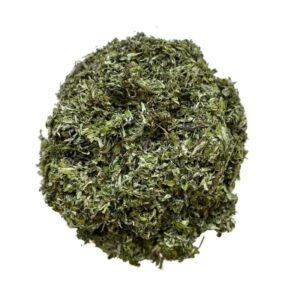 Armoise (Artemisia vulgaris) – Plante médicinale