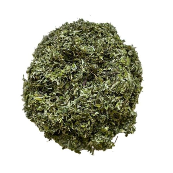 Armoise (Artemisia vulgaris) – Plante médicinale