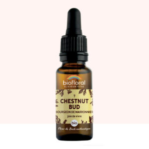 Fleur de Bach n°07 Chestnut Bud – Bourgeons de Marronnier – Bio Demeter – Biofloral – 20 ml