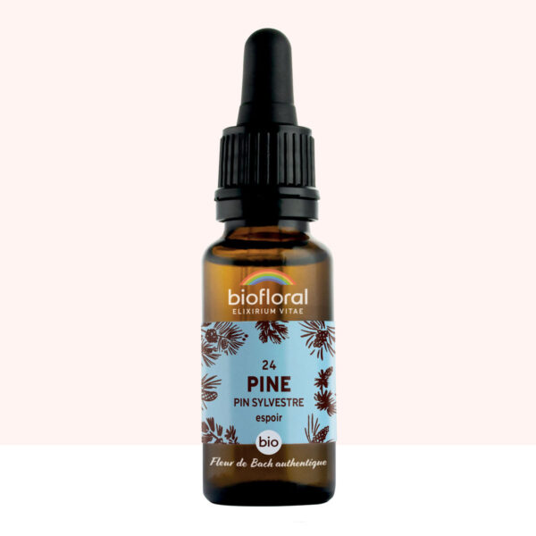 Fleur de Bach n°24 Pine – Pin – Bio Demeter – Biofloral – 20 ml