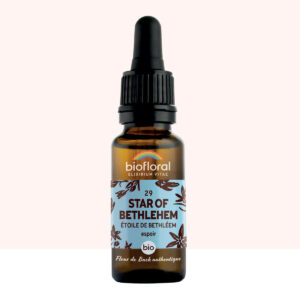 Fleur de Bach n°29 Star of Bethlehem – Étoile de Bethléem – Bio Demeter – Biofloral – 20 ml