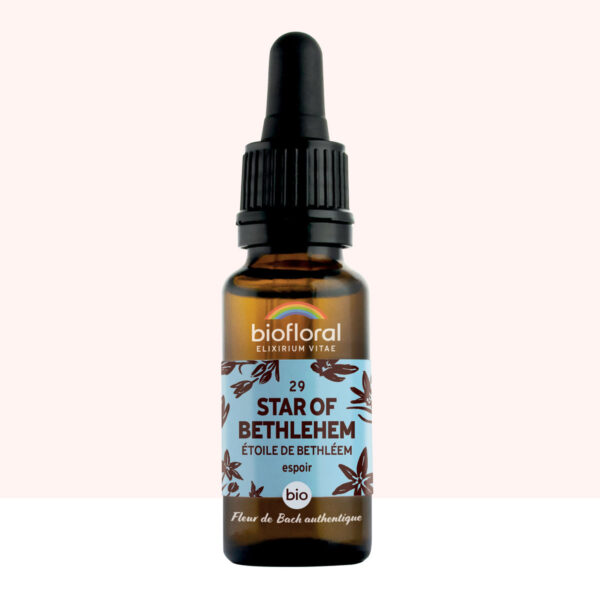 Fleur de Bach n°29 Star of Bethlehem – Étoile de Bethléem – Bio Demeter – Biofloral – 20 ml