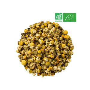 Camomille matricaire – Bio (Matricaria recutita)