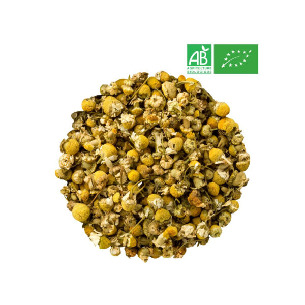 Camomille matricaire – Bio (Matricaria recutita)