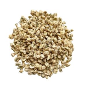 Camomille romaine –  (Chamaemelum nobile)