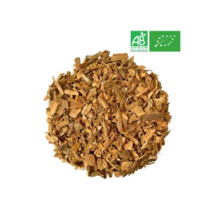 Cannelle – Écorces (Cinnamomum verum)
