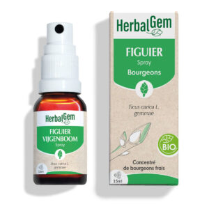 Bourgeon de Figuier – Spray – Bio Herbalgem – 15 ml