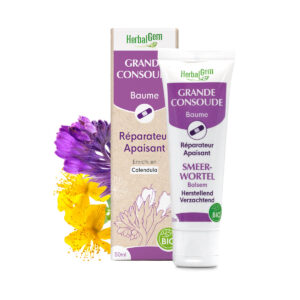 Baume Grande Consoude – Bio Herbalgem – 50 ml