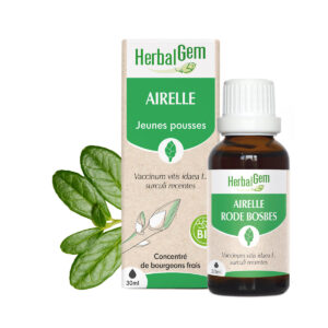 Bourgeon d’Airelle – Bio Herbalgem – 30 ml