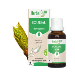 Bourgeon de Bouleau – Bio Herbalgem – 30 ml