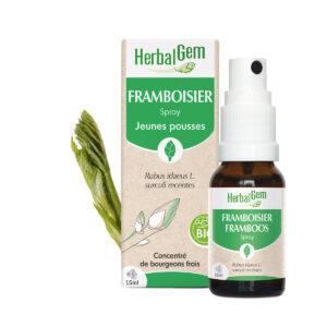 Bourgeon de Framboisier – Spray – Bio Herbalgem – 15 ml