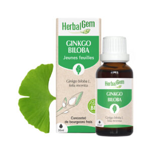 Bourgeon de Ginkgo Biloba – Bio Herbalgem – 30 ml