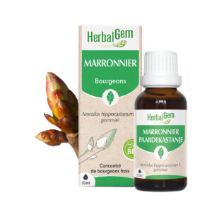 Bourgeon de Marronnier – Bio Herbalgem – 30 ml