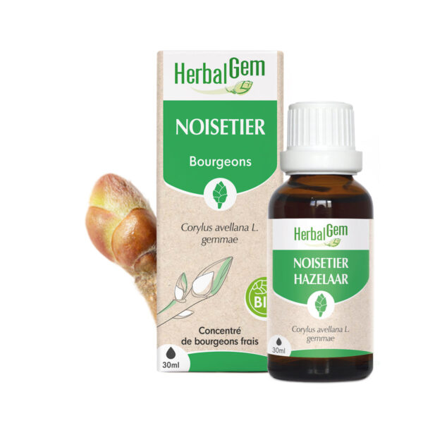 Bourgeon de Noisetier – Bio Herbalgem – 30 ml
