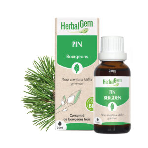 Bourgeon de Pin – Bio Herbalgem – 30 ml