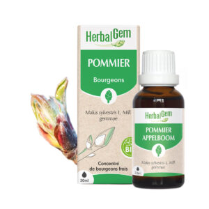 Bourgeon de Pommier – Bio Herbalgem – 30 ml