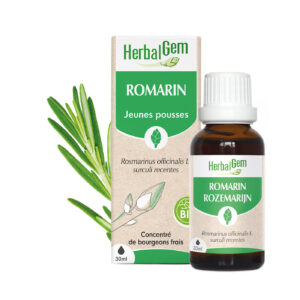 Bourgeon de Romarin – Bio Herbalgem – 30 ml