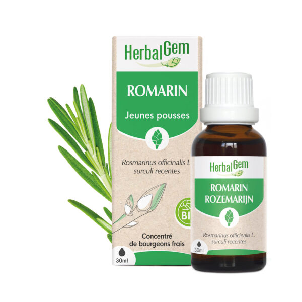 Bourgeon de Romarin – Bio Herbalgem – 30 ml