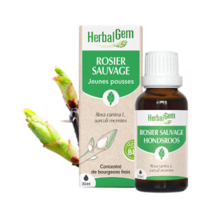 Bourgeon de Rosier Sauvage – Bio Herbalgem – 30 ml