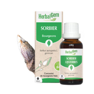 Bourgeon de Sorbier – Bio Herbalgem – 30 ml