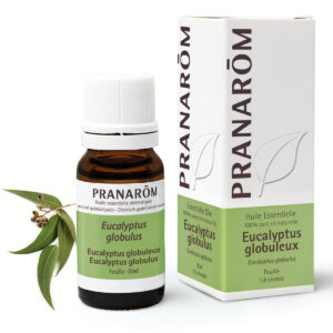Huile Essentielle d’Eucalyptus citronné – Bio