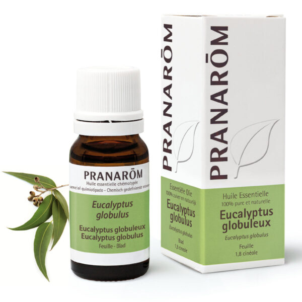 Huile Essentielle d’Eucalyptus globuleux
