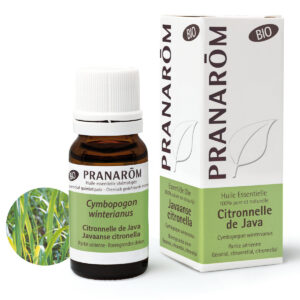 Huile Essentielle de Citronnelle de Java – Bio