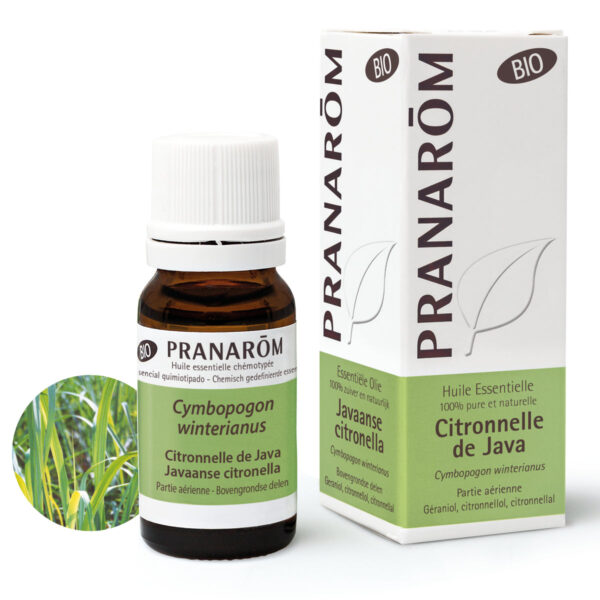 Huile Essentielle de Citronnelle de Java – Bio