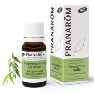 Huile Essentielle d’Eucalyptus radié – Bio