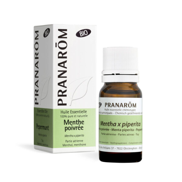 Huile Essentielle de Menthe poivrée – Bio