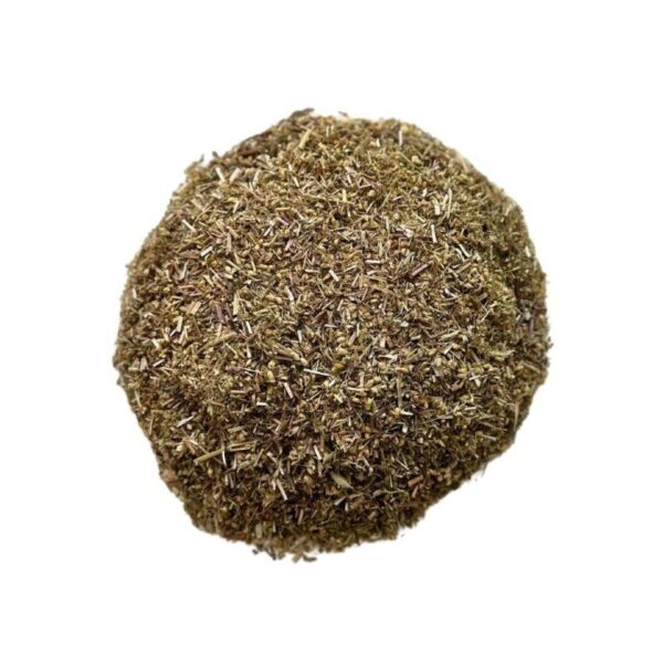 Achillée millefeuille (Achillea millefolium) – Plante médicinale