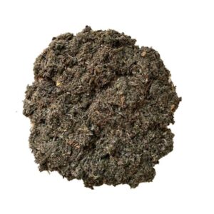 Bardane – Racine (Arctium lappa) – Plante médicinale