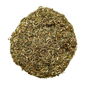 Alfalfa (Medicago sativa) – Plante médicinale
