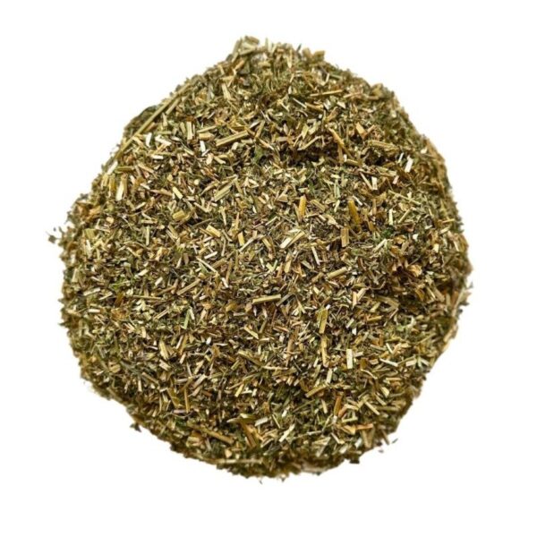 Alfalfa (Medicago sativa) – Plante médicinale